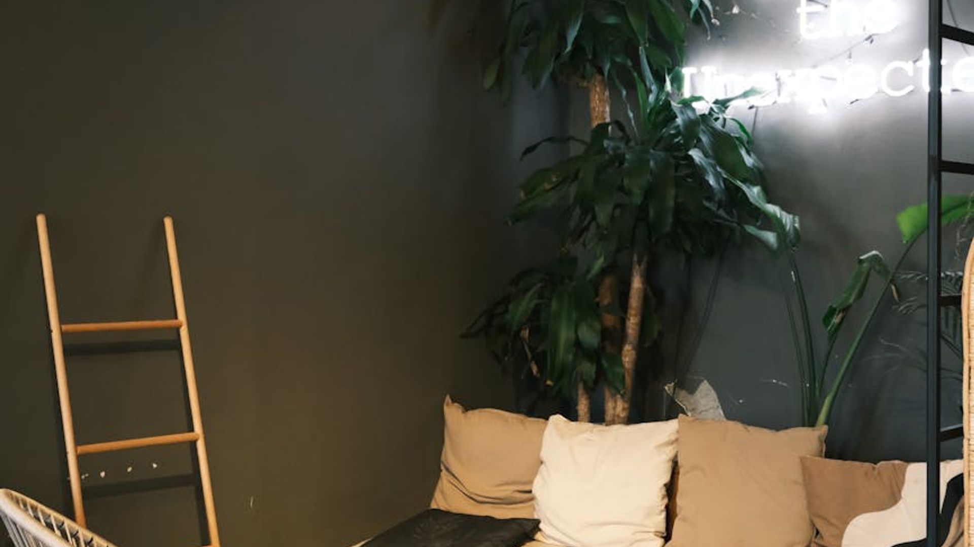 Atmospheric training room with dim lights and neon accents